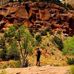 Meet your Posher, Freddy